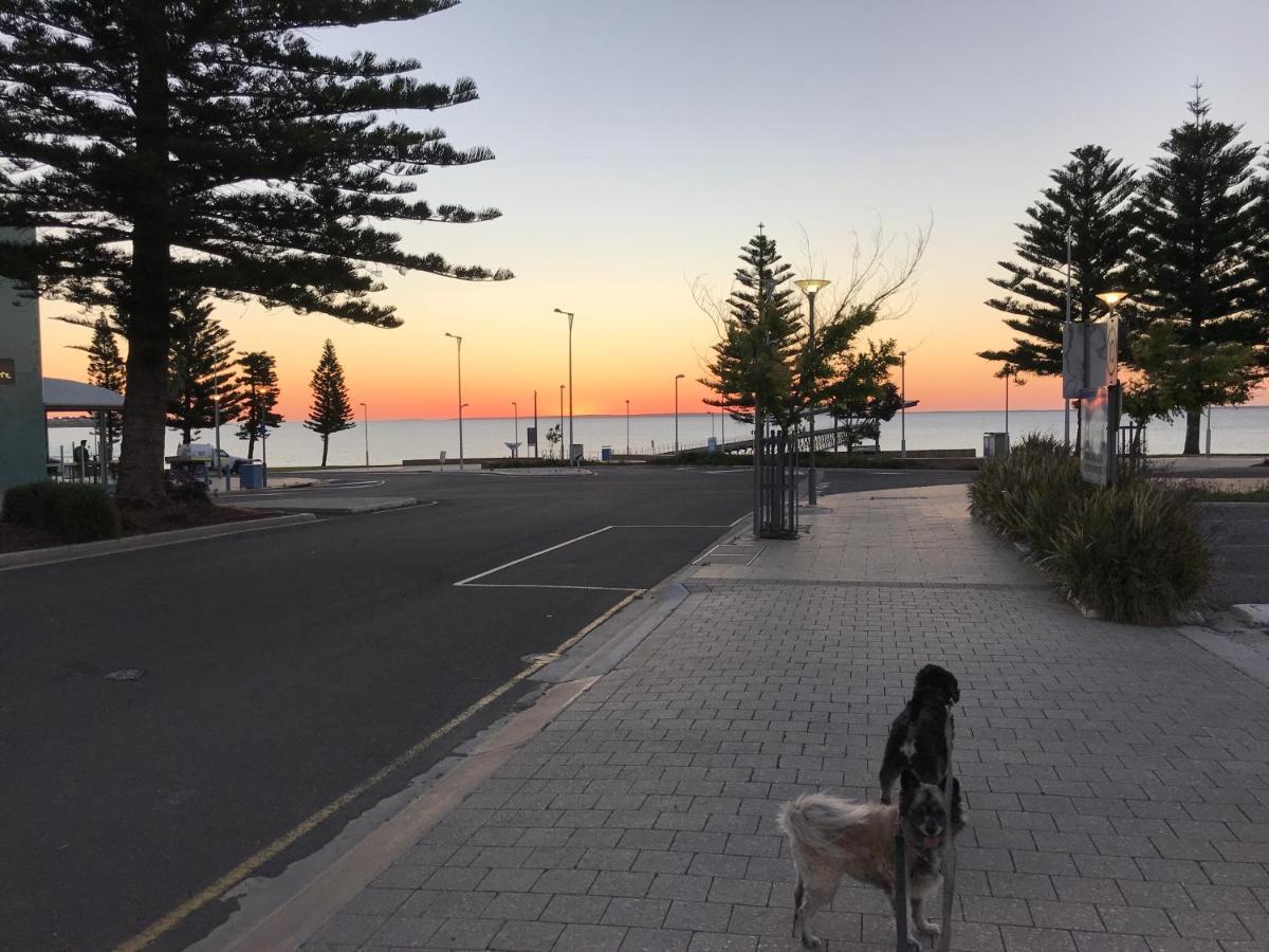 Big4 Ceduna Tourist Park Eksteriør billede